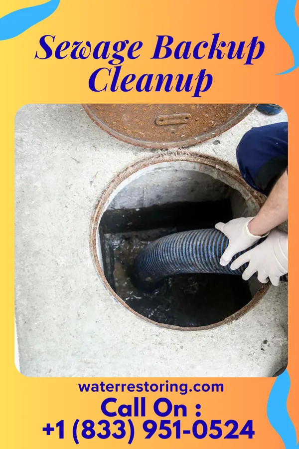 Sewage Backup Cleanup in Mill Plain, CT