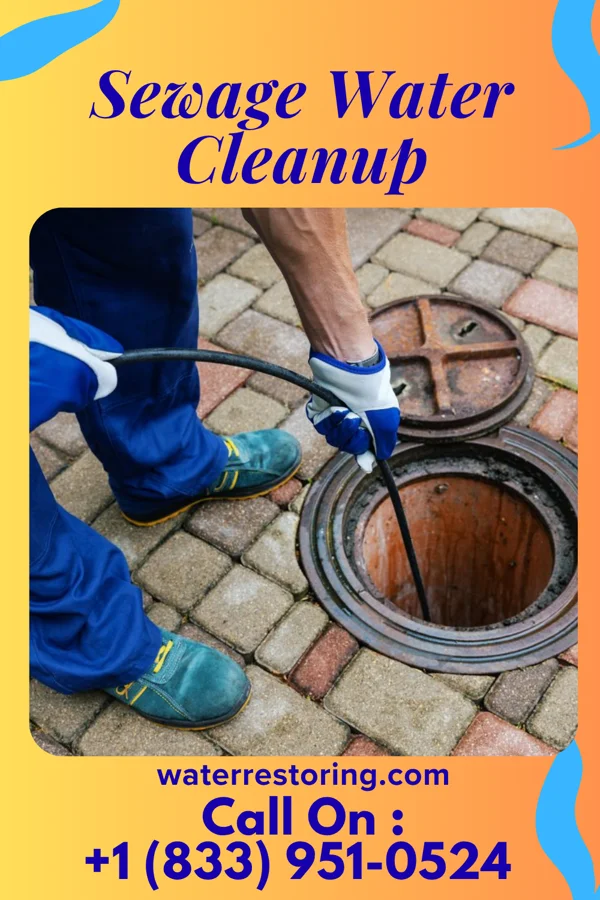 Sewage Water Cleanup in Mill Plain, CT